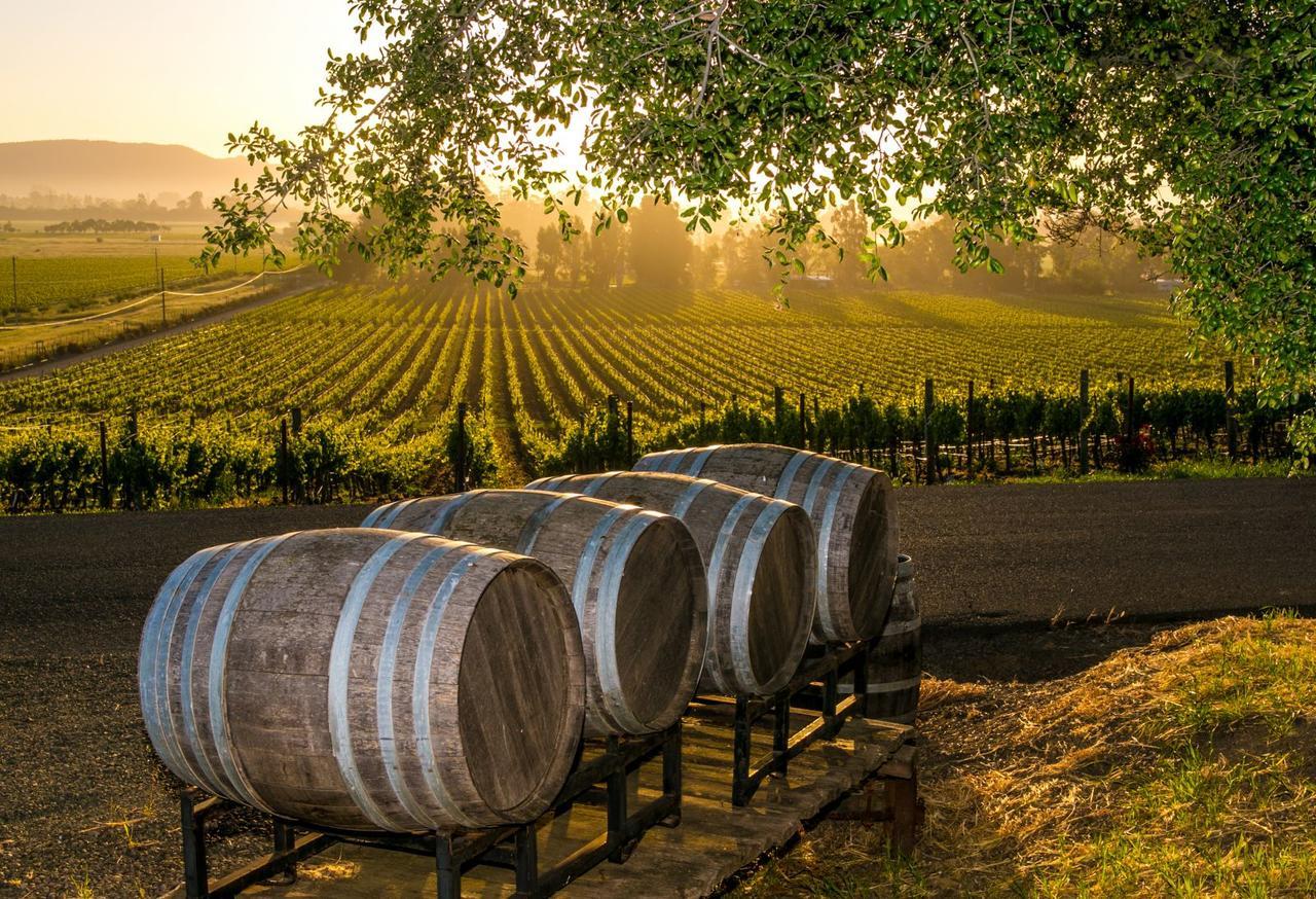 An Ideal Wine Country Getaway Villa Σέσνοκ Εξωτερικό φωτογραφία